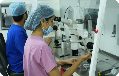 Skilled Embryologists