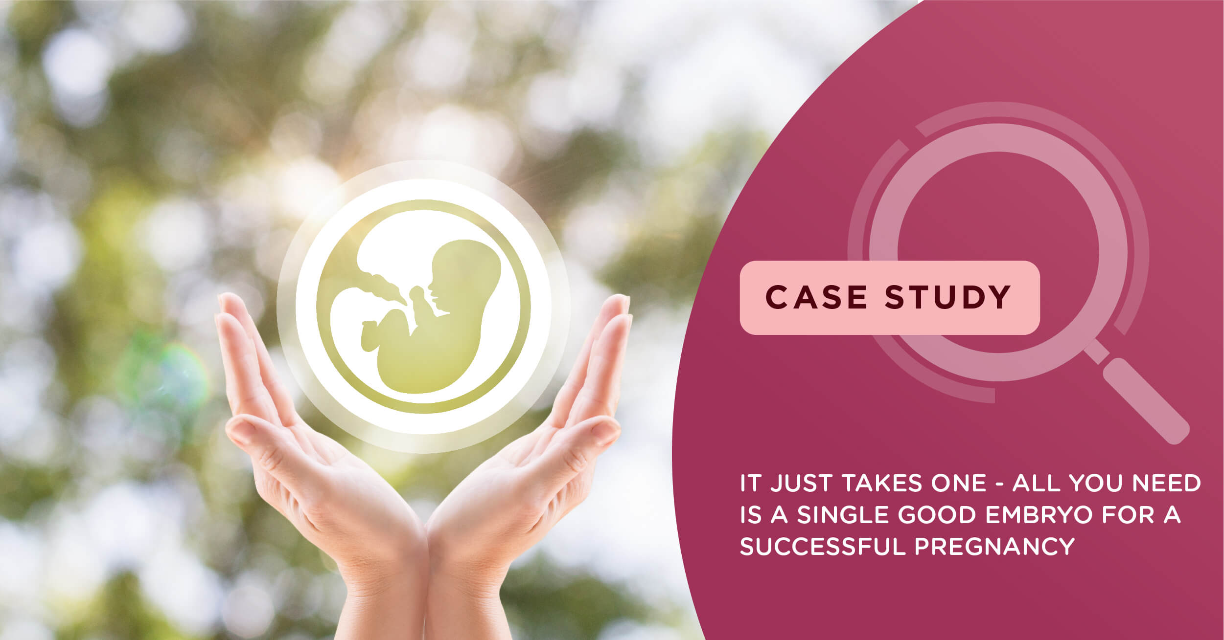 IT Just Takes One – All You Need is a Single Good Embryo for A successful Pregnancy