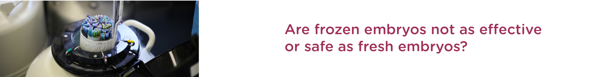 Are frozen embryos not as effective or safe as fresh embryos?