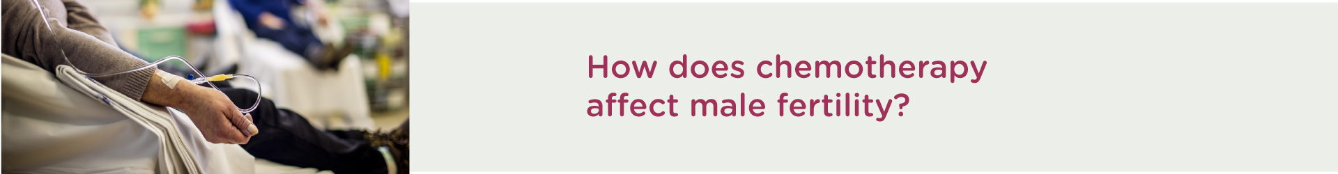 How Does Chemotherapy Affect Male Fertility?