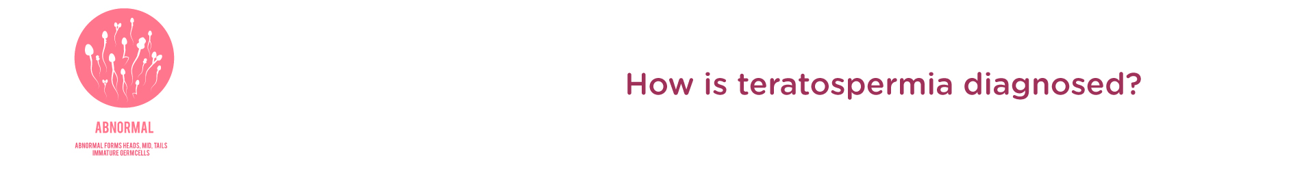 How is Teratospermia Diagnosed?