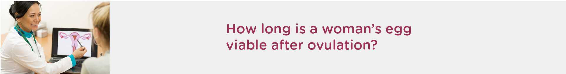 How Long is a Woman’s Egg Viable After Ovulation?