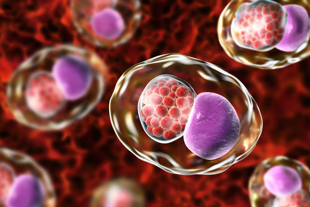 What Treatments Exist for Male Chlamydia?