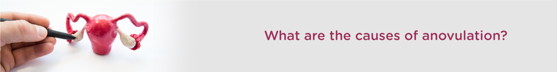 What are the Causes of Anovulation?