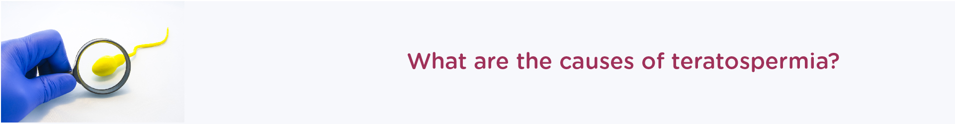 What are the Causes of Teratospermia?