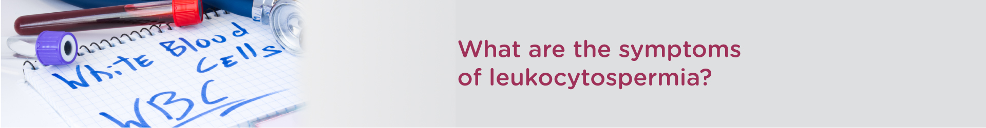 What are the Symptoms of Leukocytospermia?