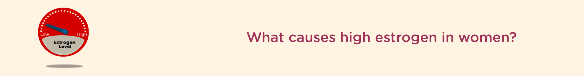 What Causes High Estrogen in Women?