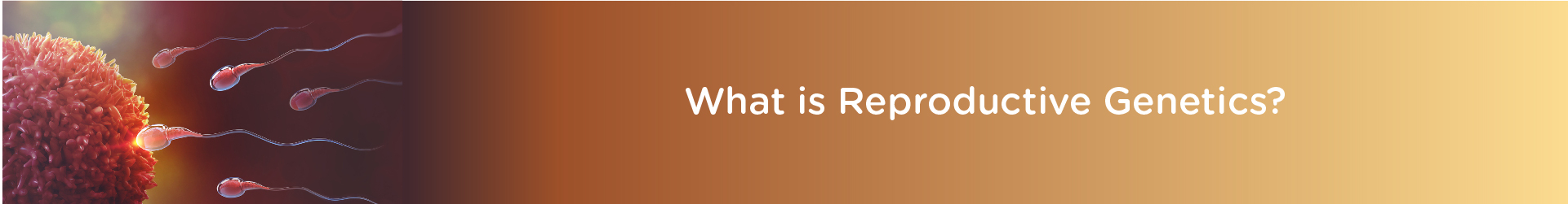 What is Reproductive Genetics?