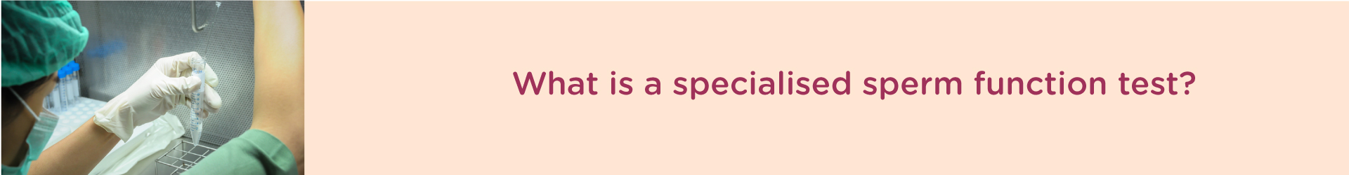 What is a Specialized Sperm Function Test?