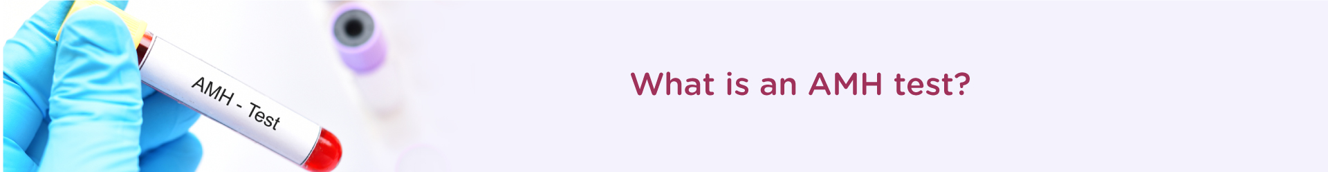 What is a AMH test?