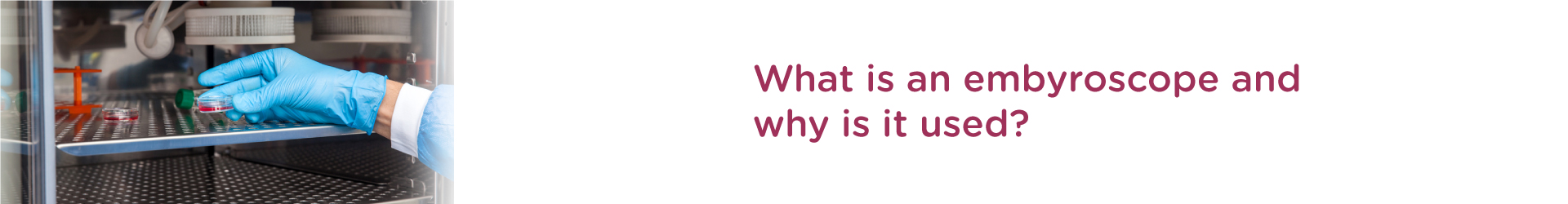 What is an Embyroscope and why is it Used?