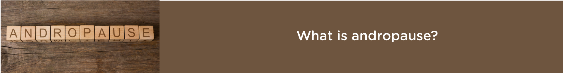 What is Andropause?