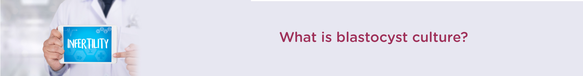 What is Blastocyst Culture?