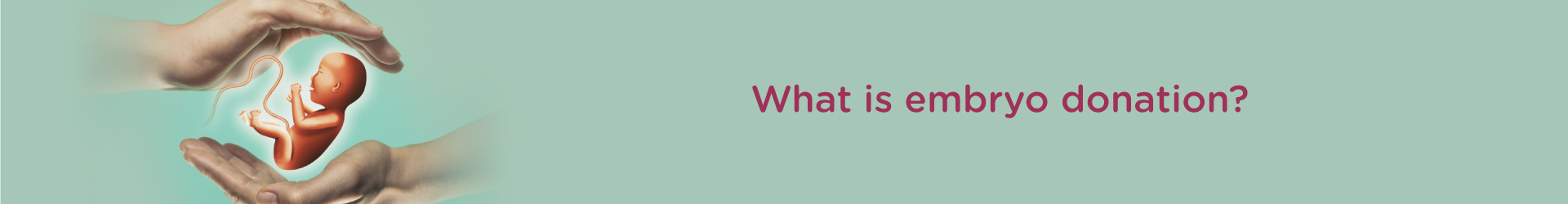 What is Embryo Donation?