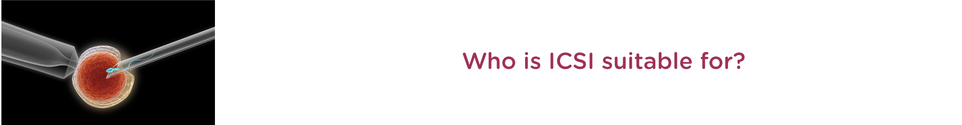 Who is ICSI Suitable for?