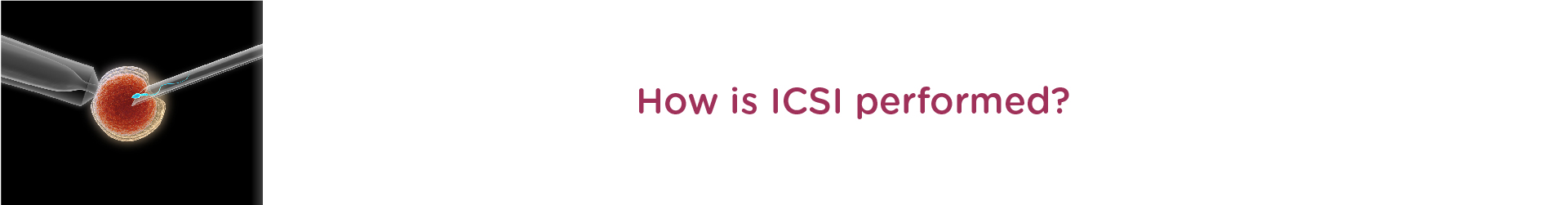 How is ICSI Performed?