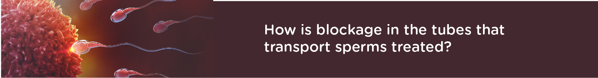 How is blockage in the tubes that transport sperms treated?