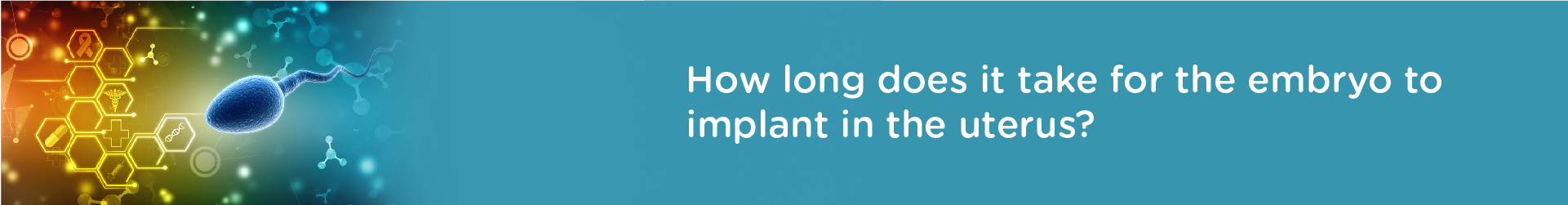 How long does it take for the embryo to implant in the uterus?