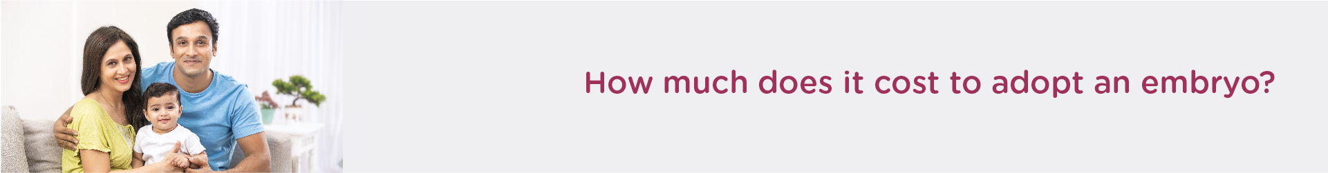 How much does it cost to adopt an embryo?