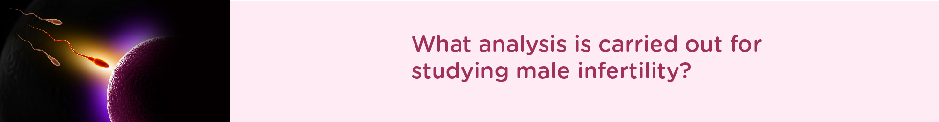 What analysis is carried out for studying male infertility?
