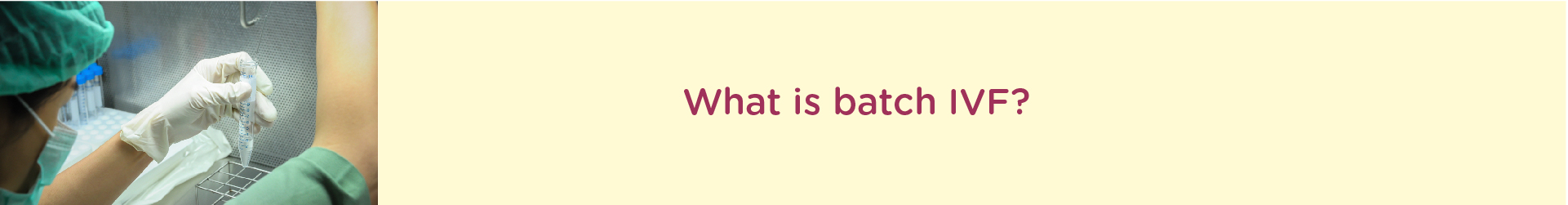 What are batch IVF?