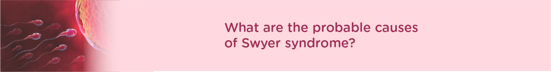 What Are the Probable Causes of Swyer Syndrome?