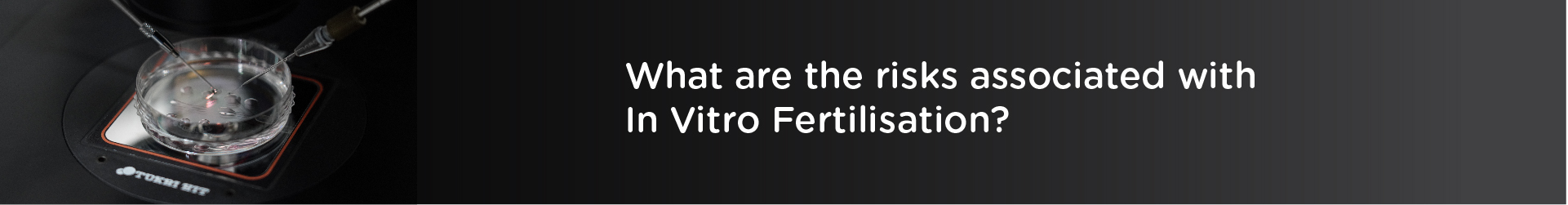 What are the Risks Associated with In-Vitro Fertilization?