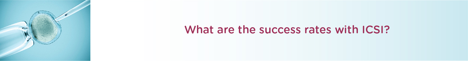 What are the Success Rates with ICSI?