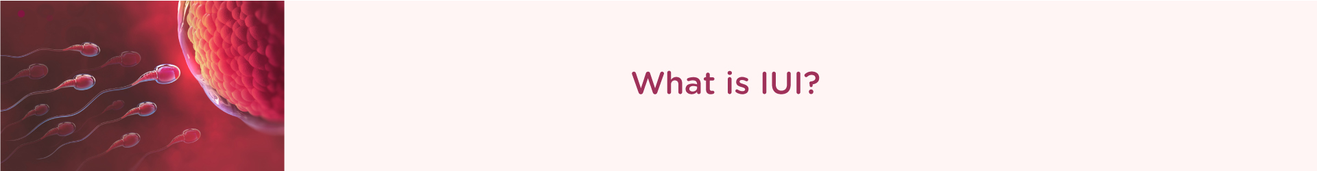 What is IUI?