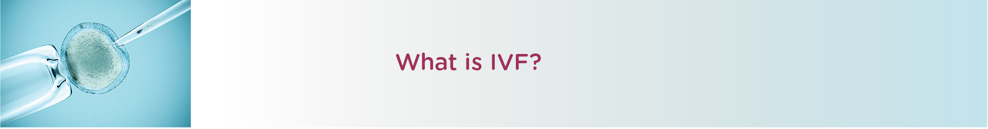 What is IVF?