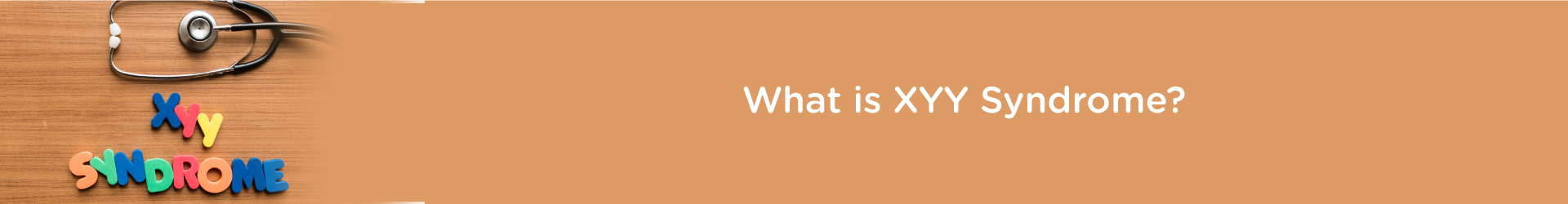 What is XYY Syndrome?