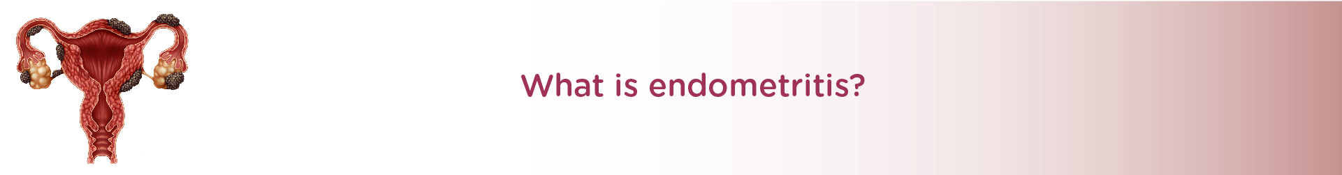 What is Endometritis?