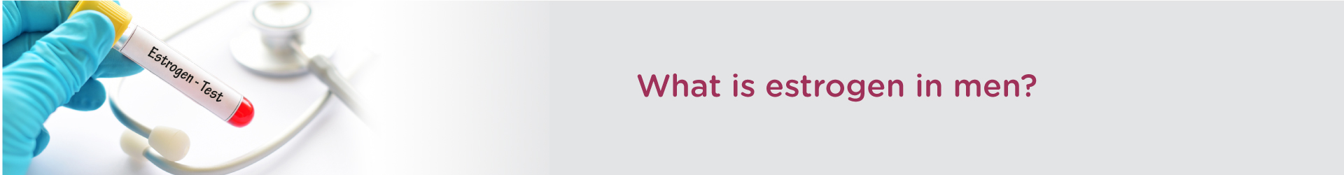 What is Estrogen in Men?