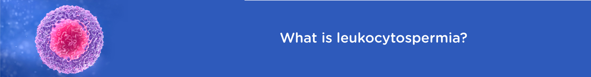 What is Leukocytospermia?