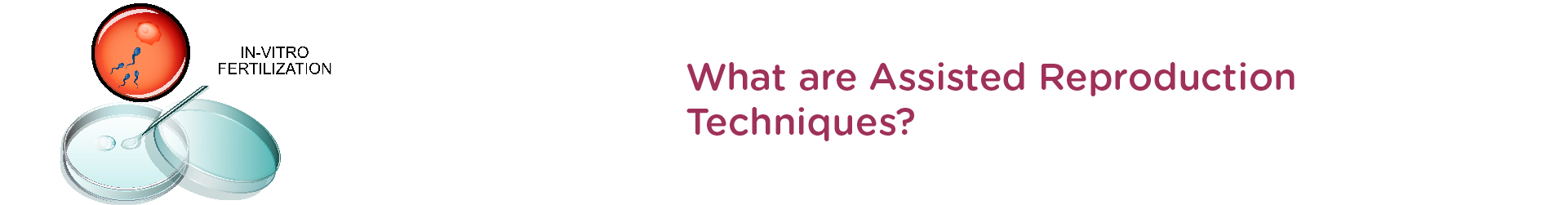 What is meant by assisted reproduction?