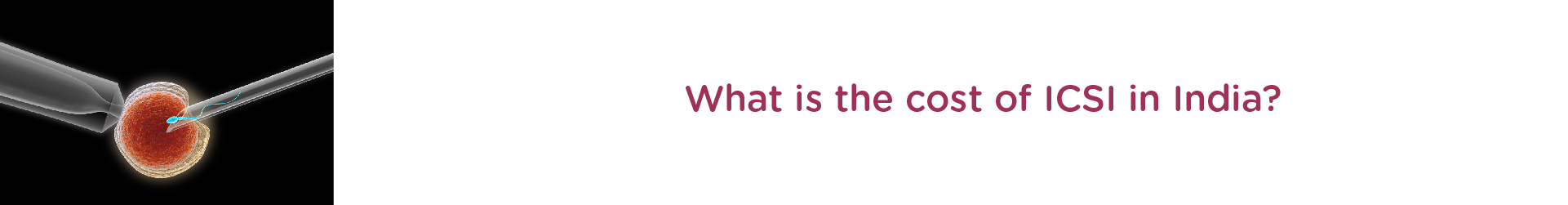 What is the cost of ICSI in India?