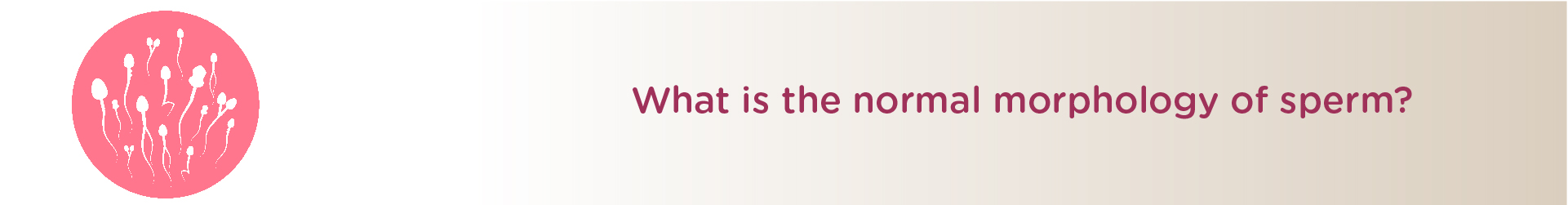 What is the Normal Morphology of Sperm?