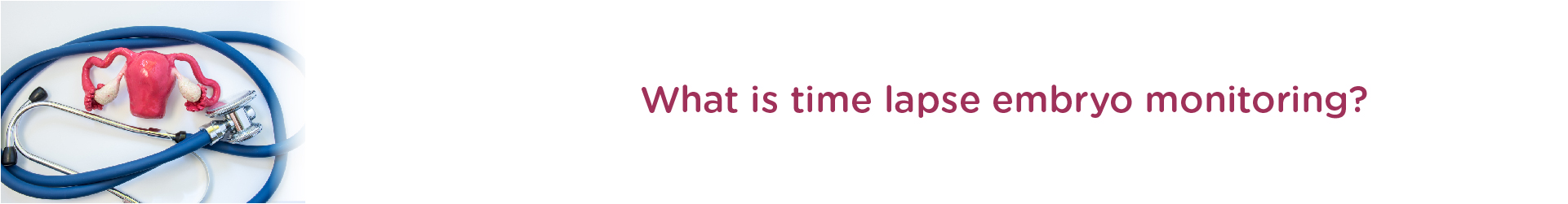 What is Time-lapse Embryo Monitoring?